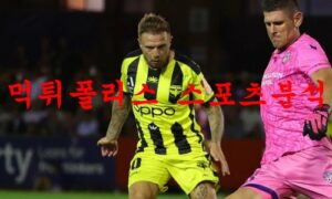 1월2일 호주A리그 웰링턴 피닉스FC 멜버른시티FC 해축분석 먹튀폴리스
