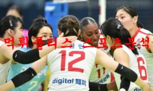 1월12일 V리그 페퍼저축은행 AI페퍼스 한국도로공사 하이패스 분석 먹튀폴리스