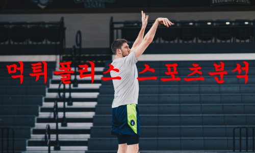 미네소타