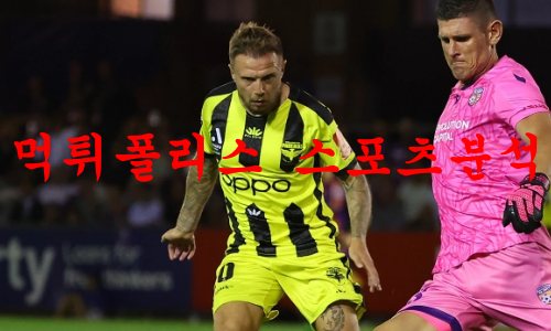 웰링턴피닉스