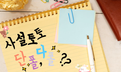 토토