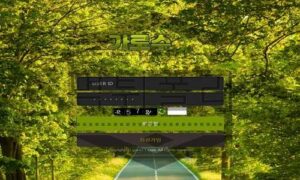 가로수 신규사이트 그늘 아래서 시원한 바람을 느끼며 과거 잘못들 파보는 중 가로수 신규사이트 그늘 아래서 시원한 바람을 느끼며 과거 잘못들 파보는 중