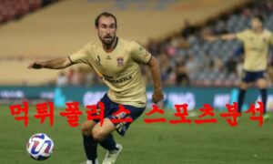 2월25일 호주A리그 뉴캐슬 제츠 FC 웨스턴 유나이티드 FC 축구분석 먹튀폴리스 2월25일 호주A리그 뉴캐슬 제츠 FC 웨스턴 유나이티드 FC 축구분석 먹튀폴리스