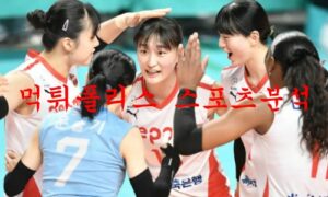 2월10일 V리그 페퍼저축은행 AI페퍼스 현대건설 힐스테이트 분석 먹튀폴리스