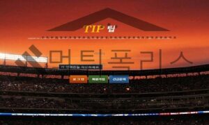 TIP 신규사이트 일상생활을 하며 노하우를 전수해 줄 착한 업체인지 확인 중 TIP 신규사이트 일상생활을 하며 노하우를 전수해 줄 착한 업체인지 확인 중
