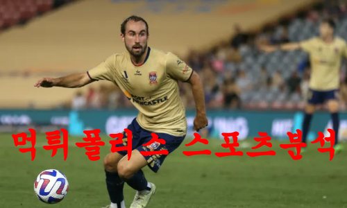 뉴캐슬유나이티드제츠