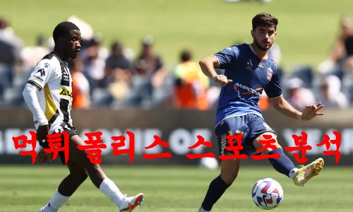 뉴캐슬제츠
