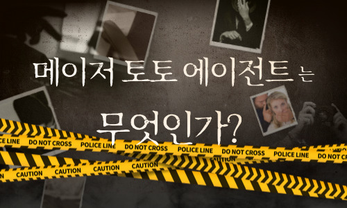 메이저 토토