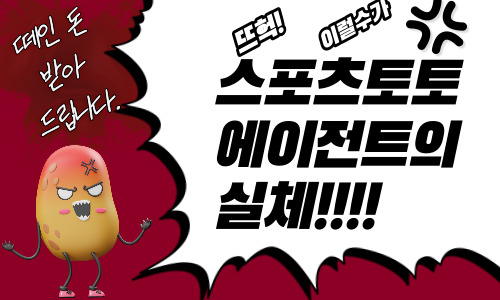 메이저 토토