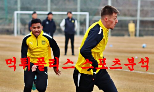 전남드래곤즈