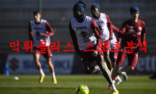 토리노FC