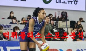 3월7일 V리그 한국도로공사 흥국생명 핑크스파이더스 국내배구 분석 먹튀폴리스 3월7일 V리그 한국도로공사 흥국생명 핑크스파이더스 국내배구 분석 먹튀폴리스