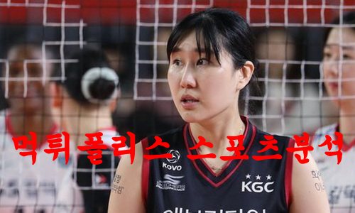 KGC인삼