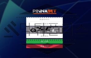 PINNABET 신규사이트 도저히 용납할 수 없는 행동을 하는지 검별 중