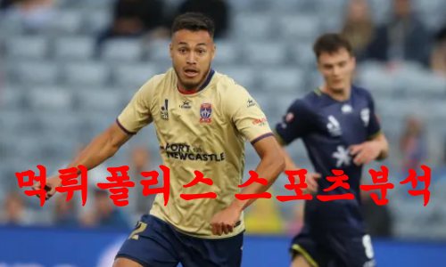 뉴캐슬유나이티드제츠