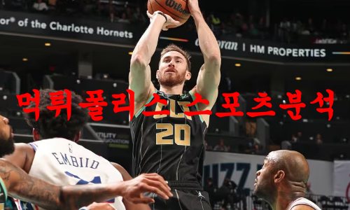 샬럿호네츠