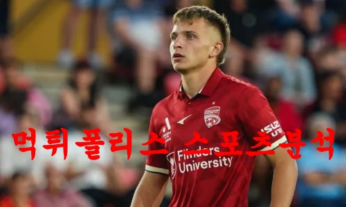 애들레이드