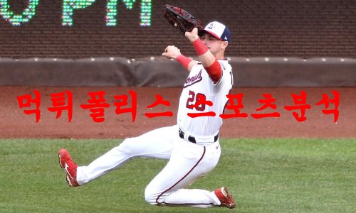 워싱턴내셔널스