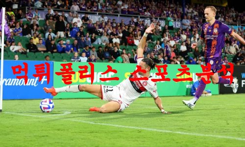 웨스턴시드니