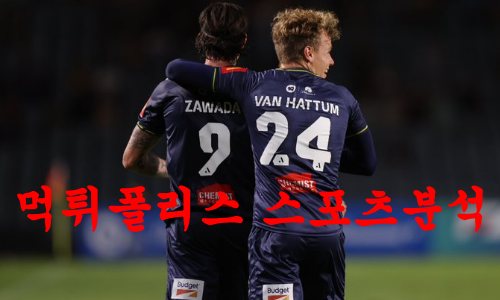 웰링턴피닉스