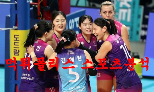 흥국생명