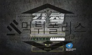 강철 먹튀사이트 운영진들의 멍청함을 생각하며 범죄 사실이 증명되어 검거 완료
