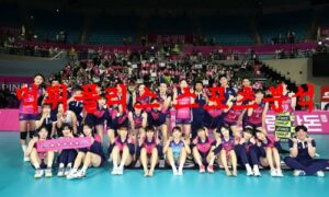 4월6일 V리그 흥국생명 핑크스파이더스 한국도로공사 하이패스 배구분석 먹튀폴리스