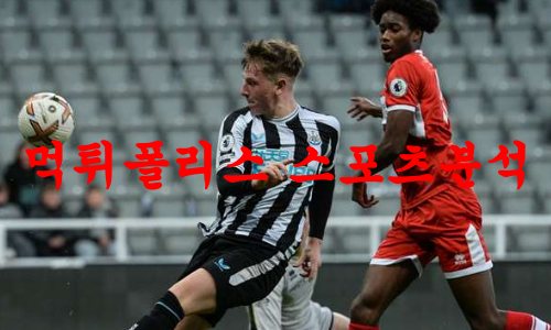 뉴캐슬
