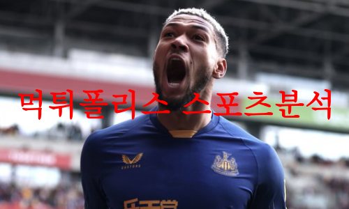 뉴캐슬유나이티드FC