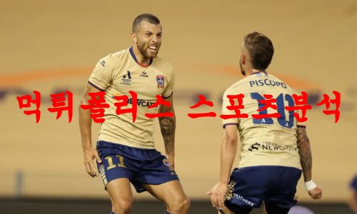 뉴캐슬제츠