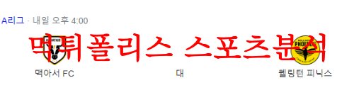 4월29일 호주A리그 맥아서FC 웰링턴 피닉스FC 해외축구 전공 분석 먹튀폴리스