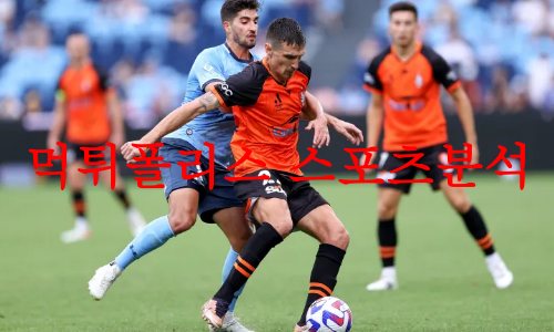 브리즈번로어FC