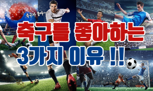 사설사이트