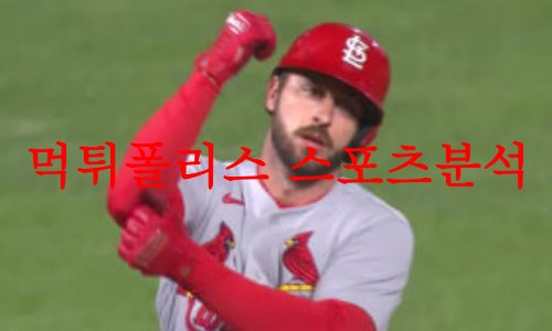 세인트루이스