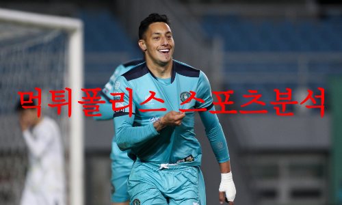 안산그리너스