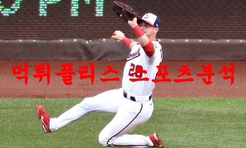 워싱턴내셔널스