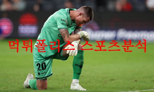 웰링턴피닉스