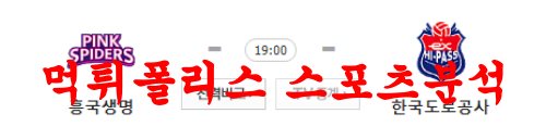 4월6일 V리그 흥국생명 핑크스파이더스 한국도로공사 하이패스 배구분석 먹튀폴리스
