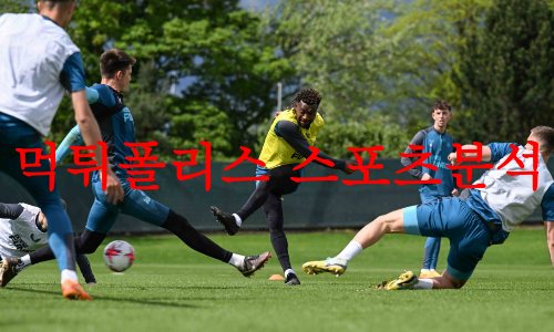 뉴캐슬