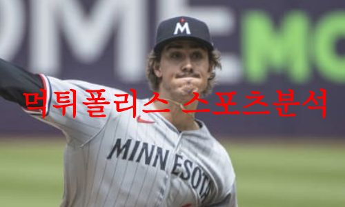 미네소타