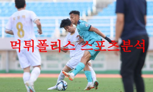 안산그리너스