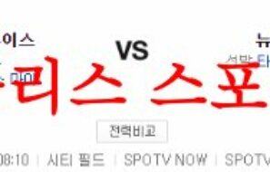 6월17일 MLB 뉴욕 메츠 세인트루이스 카디널스 해외야구 믈브분석 먹튀폴리스
