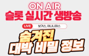 슬롯 보거스, 슬롯 어나니머스 숨겨진 대박 비밀 정보