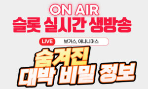 슬롯 보거스, 슬롯 어나니머스 숨겨진 대박 비밀 정보
