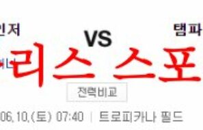 6월10일 MLB 탬파베이 레이스 텍사스 레인저스 선발투수 분석 먹튀폴리스