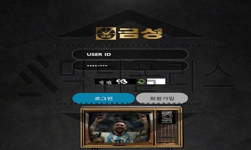 금성 신규사이트