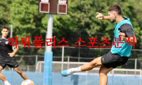 뉴질랜드