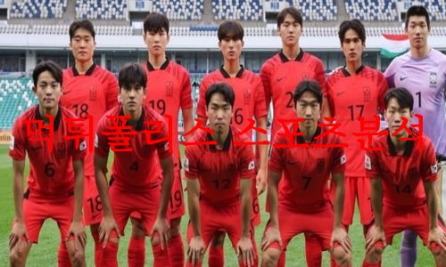 대한민국
