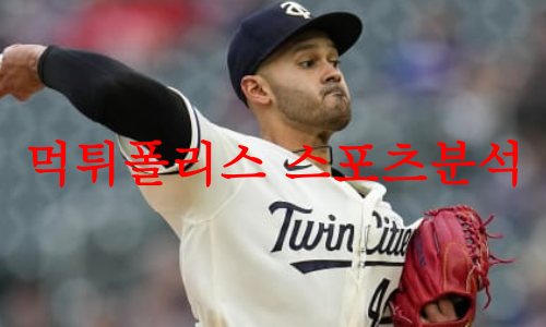미네소타