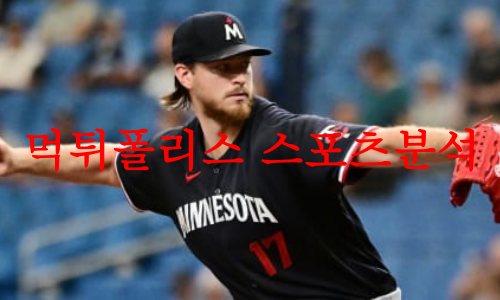 미네소타